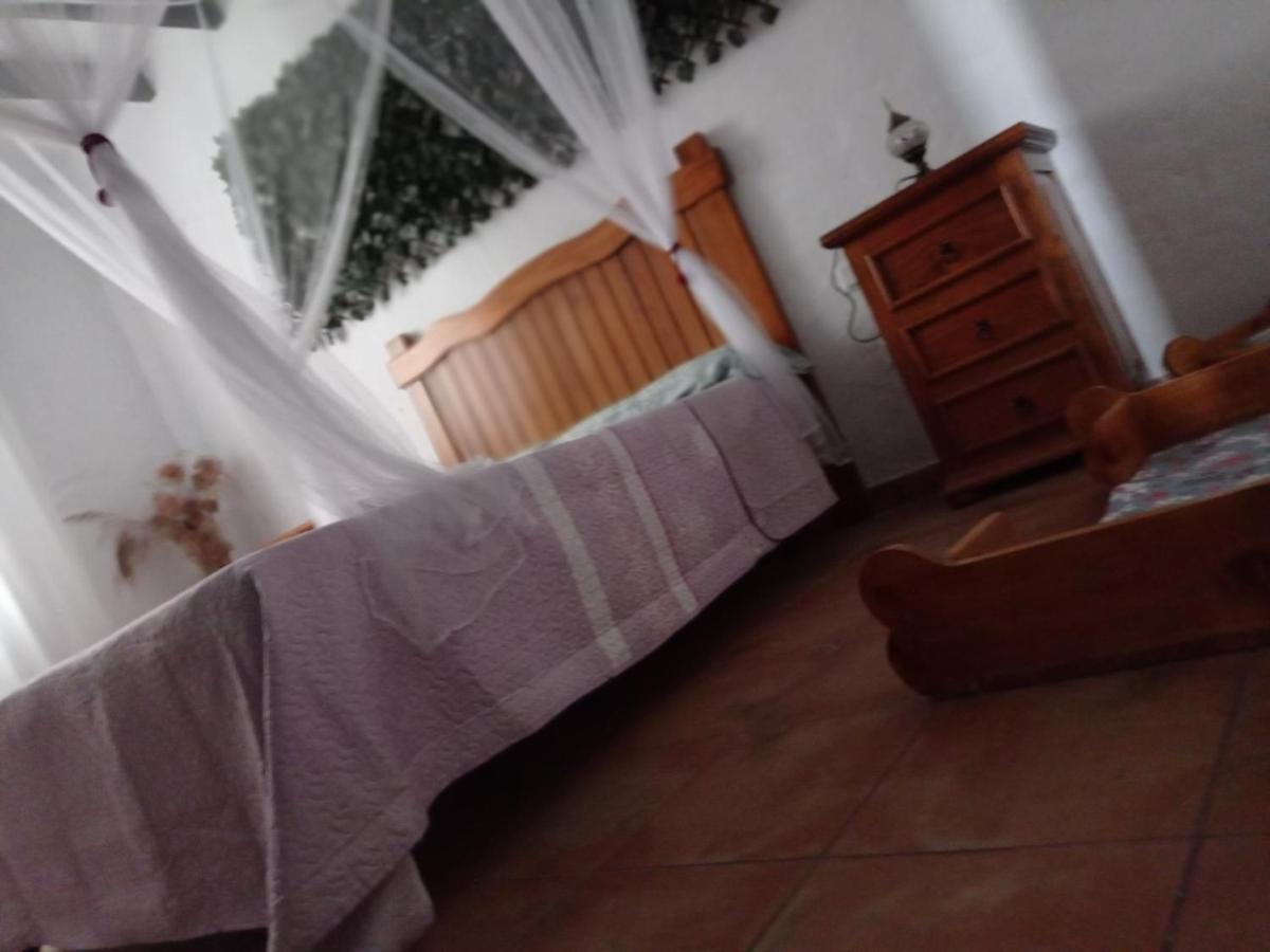 Apartamento Mascotas 2 Benaocaz Exterior foto